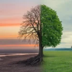 Retraite bien-être nature, 7 Expériences qui Changent Vraiment la Vie 🌿